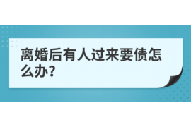 罗城为什么选择专业追讨公司来处理您的债务纠纷？